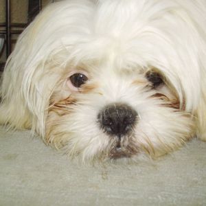 Meet your Posher, Arcelina